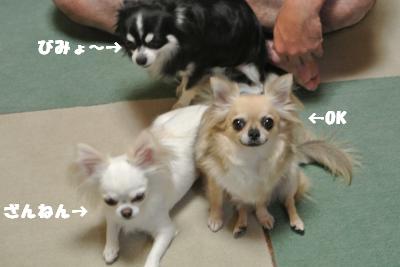 蟆城未+939_convert_20120831153117