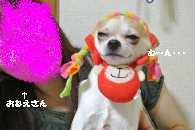 逕サ蜒・261_convert_20120902163606