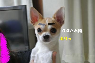 逕サ蜒・256_convert_20120902163821