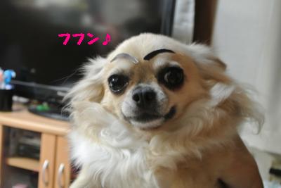 逕サ蜒・257_convert_20120902164237