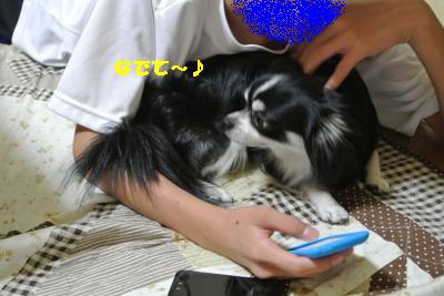 逕サ蜒・250_convert_20120902163323