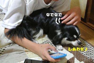 逕サ蜒・251_convert_20120902163400