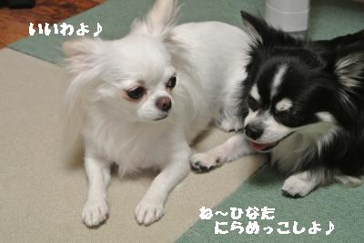 逕サ蜒・239_convert_20120902163003