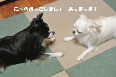 逕サ蜒・238_convert_20120902163134
