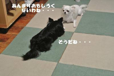 逕サ蜒・237_convert_20120902163054