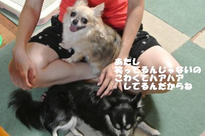 蟆城未+956_convert_20120905105421