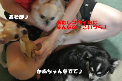 蟆城未+959_convert_20120905104831