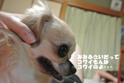 蟆城未+964_convert_20120905105223