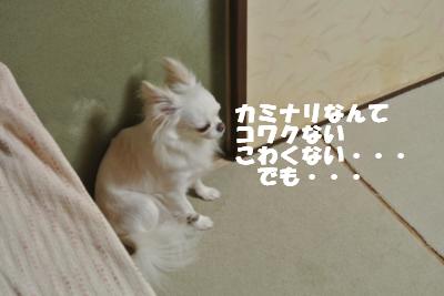 蟆城未+958_convert_20120905105033