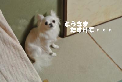 蟆城未+957_convert_20120905105103