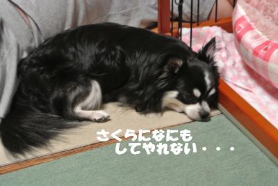 蟆城未+967_convert_20120905105608