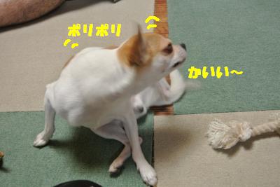 蟆城未+963_convert_20120905105537