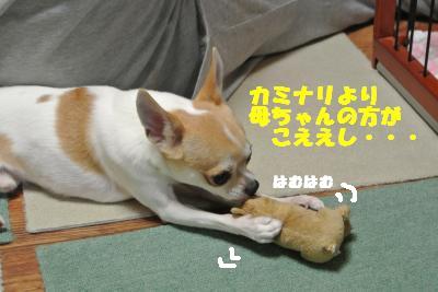 蟆城未+965_convert_20120905105657