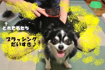 蟆城未+974_convert_20120906111520