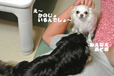 蟆城未+948_convert_20120906112009