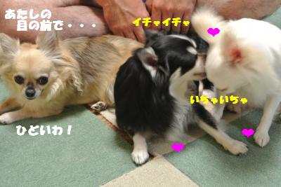 蟆城未+973_convert_20120906111707