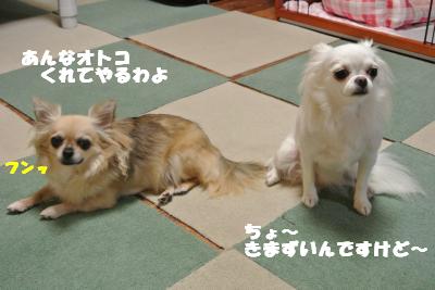 蟆城未+980_convert_20120906111547