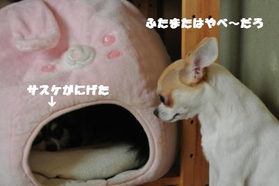 蟆城未+914_convert_20120906111628