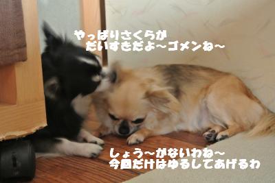 蟆城未+943_convert_20120906111835