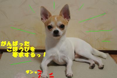 蟆城未+970_convert_20120906111433