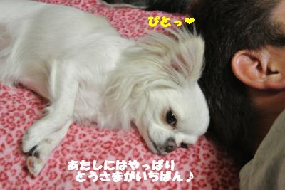 蟆城未+953_convert_20120906114705