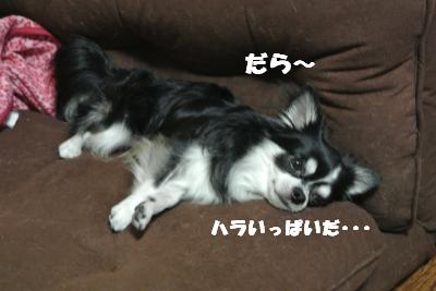 蟆城未+991_convert_20120907111029