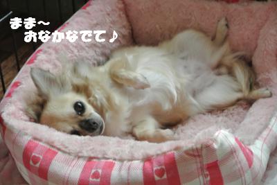 蟆城未+852_convert_20120907110806
