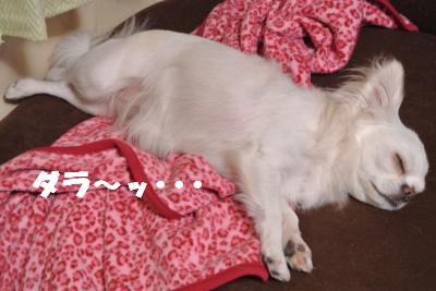 蟆城未+984_convert_20120907110833