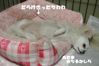 蟆城未+989_convert_20120907110945