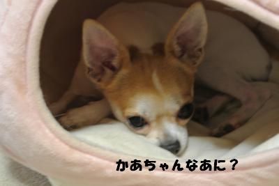 蟆城未+987_convert_20120907111207
