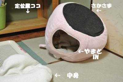 蟆城未+982_convert_20120907111134