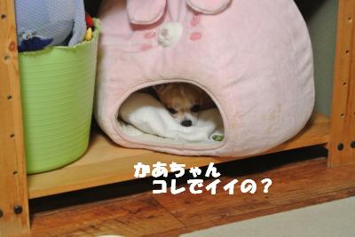 蟆城未+979_convert_20120907112137