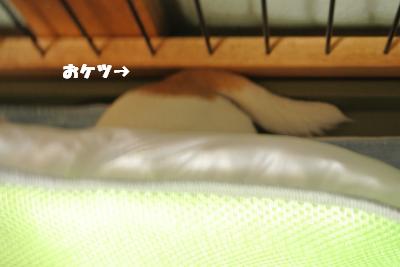 蟆城未+854_convert_20120828101646