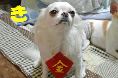 蟆城未+1036_convert_20120910091859