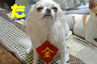 蟆城未+1038_convert_20120910091949