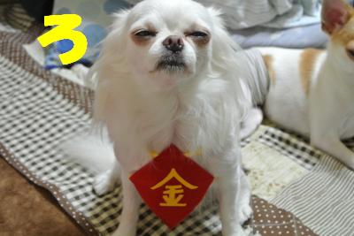 蟆城未+1039_convert_20120910092019