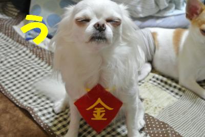 蟆城未+1040_convert_20120910092043