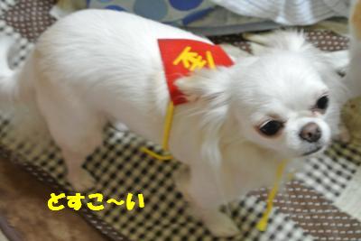 蟆城未+1015_convert_20120910092519