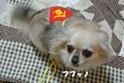 蟆城未+999_convert_20120910092330