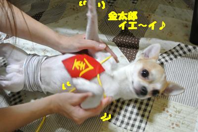 蟆城未+1003_convert_20120910092434