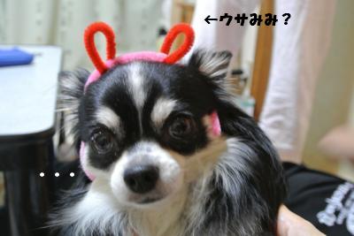 蟆城未+1017_convert_20120911100946