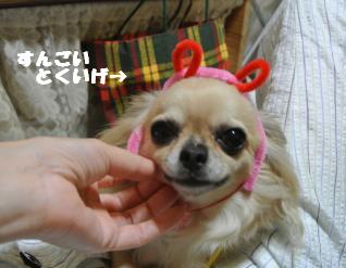 蟆城未+1033_convert_20120911101802