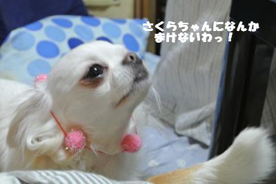 蟆城未+1014_convert_20120911101900