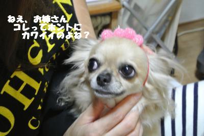 蟆城未+1020_convert_20120911101623