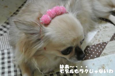 蟆城未+1028_convert_20120911101309