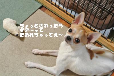 蟆城未+1048_convert_20120911100850