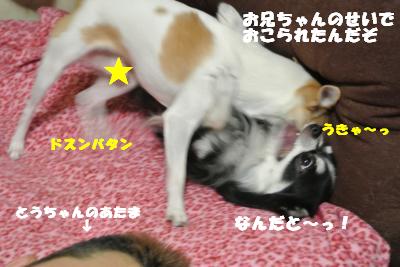蟆城未+1043_convert_20120912102400