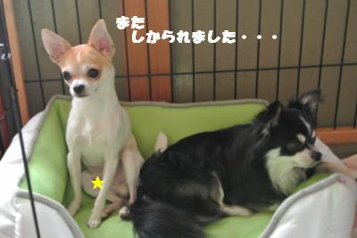 蟆城未+990_convert_20120912102141