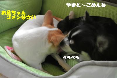 蟆城未+994_convert_20120912102244