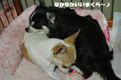 蟆城未+1034_convert_20120912102557